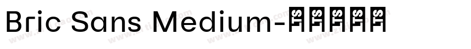 Bric Sans Medium字体转换